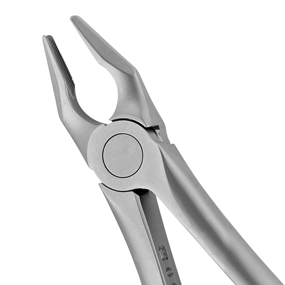 1 Apical Upper Incisors Forceps - Atraumair